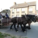 Dodo Des Iles * Koksijde