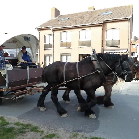 Dodo Des Iles * Koksijde