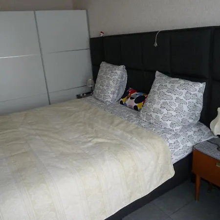 Dodo Des Iles Koksijde