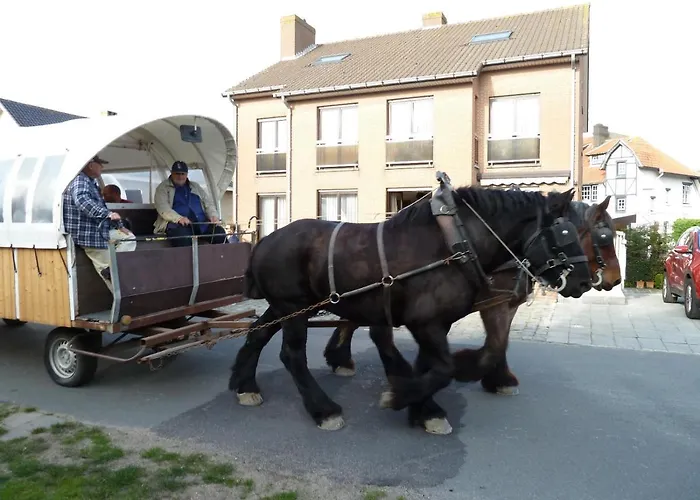 Dodo Des Iles * Koksijde