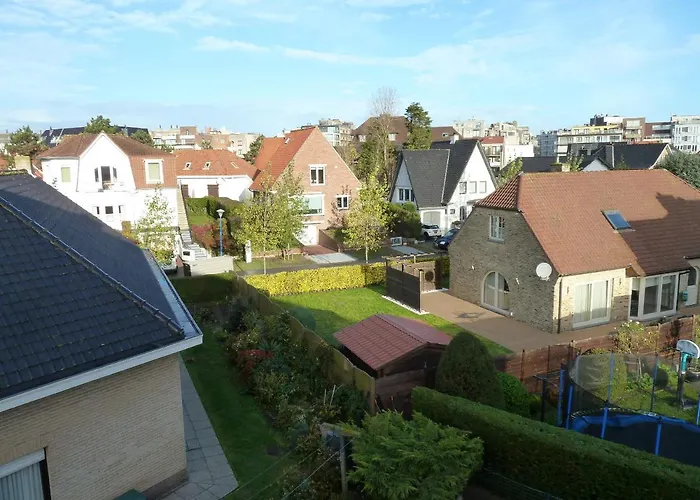 Dodo Des Iles Koksijde