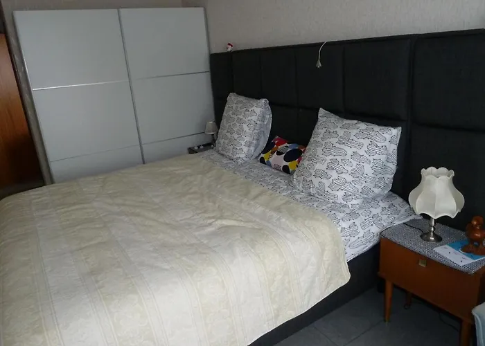 Dodo Des Iles Coxyde