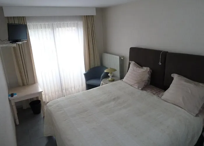 Dodo Des Iles Koksijde