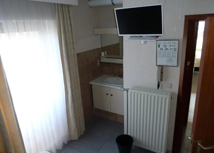 Dodo Des Iles * Koksijde